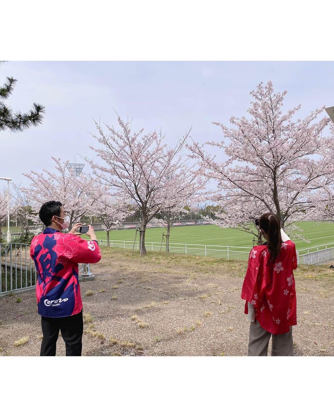 池田愛恵里さんのインスタグラム写真 - (池田愛恵里Instagram)「しあわせな土日🌸 昨日の勝利と、その余韻のままきょうは舞洲で桜祭り☺️🌸  舞洲の桜が本当に綺麗でした！ セレッソの森プロジェクトのたくさんのみなさんの協力があって、あの綺麗なクラブハウスまわりの景色があると思うと、余計に綺麗に見えます😊  MCとして参加させてもらいましたが、 たくさんのサポーターのみなさんとお話ししたりお花見できたり、ただただ幸せな時間でした🥰  なんて素敵なイベントなんだろう！  毎週こんな土日だったらいいのになぁ🙂🌸 最高の週末でした！ #セレッソ大阪 #セレッソの森プロジェクト #お花見」4月2日 22時23分 - ikeda_aeri