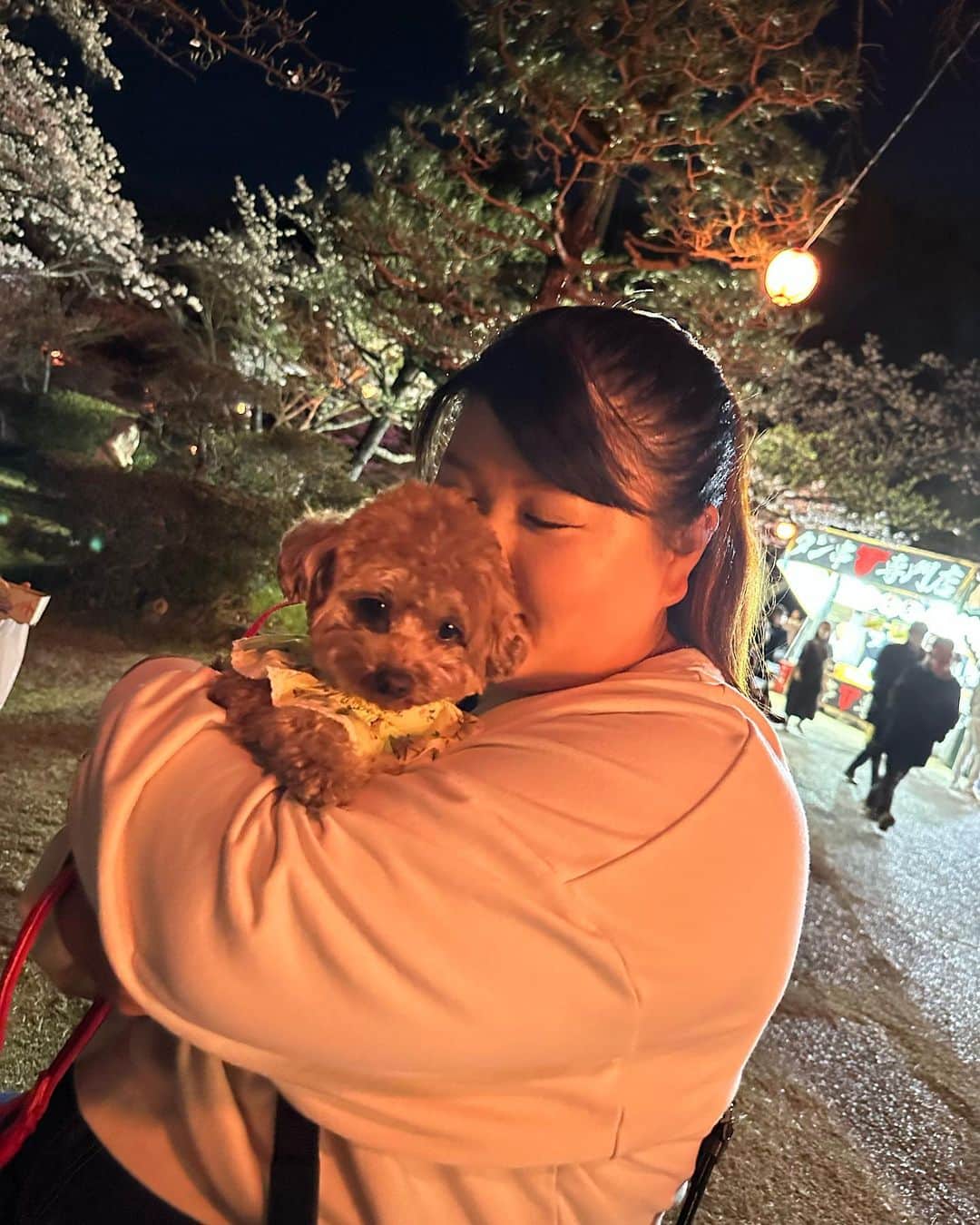 鈴木麻綾のインスタグラム：「sakura🌸  今年は桜見に行けました❣️ 見に行けてよかった🥺 屋台メインだったけど🤣 しっかりと唐揚げば食べました💓  #桜#sakura#犬#いぬすたぐらむ #いぬのいる暮らし #犬のいる暮らし #プロゴルファー#女子プロゴルファー #ゴルフ#golf」