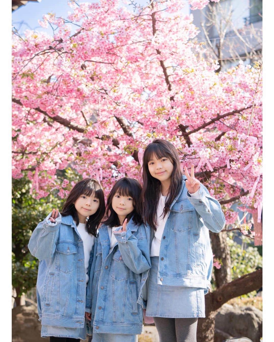 Yukiさんのインスタグラム写真 - (YukiInstagram)「あっという間に４月スタート♡  ４月もよろしくお願いします。  春から新中学一年生と新小学四年生になるので新しい学年にドキドキです✨  それぞれが充実して過ごせるといいなぁ☺️🌸  📷は早朝の空いてる時間を狙って　@sakura.jingu におでかけ♡ 　 長女の身長が一気に伸びすぎて ここ最近は 着る服に困ってたのですが 可愛いデニムのセットアップを発見👀✨  実はレディースサイズの xsとsサイズだよ☺️  @gu_for_all_のデニムセットアップに  @daiso_official  のダイソーのウエスト調節ゴムベルトをつけて調節してるよ♡  これで一気に成長してもお気に入りのコーデで過ごせそうだなあーと希望が湧いてきました☺️✨  #三姉妹 #双子 #新中学生 #中学入学 #子育て #桜神宮」4月2日 22時28分 - yukikuu96