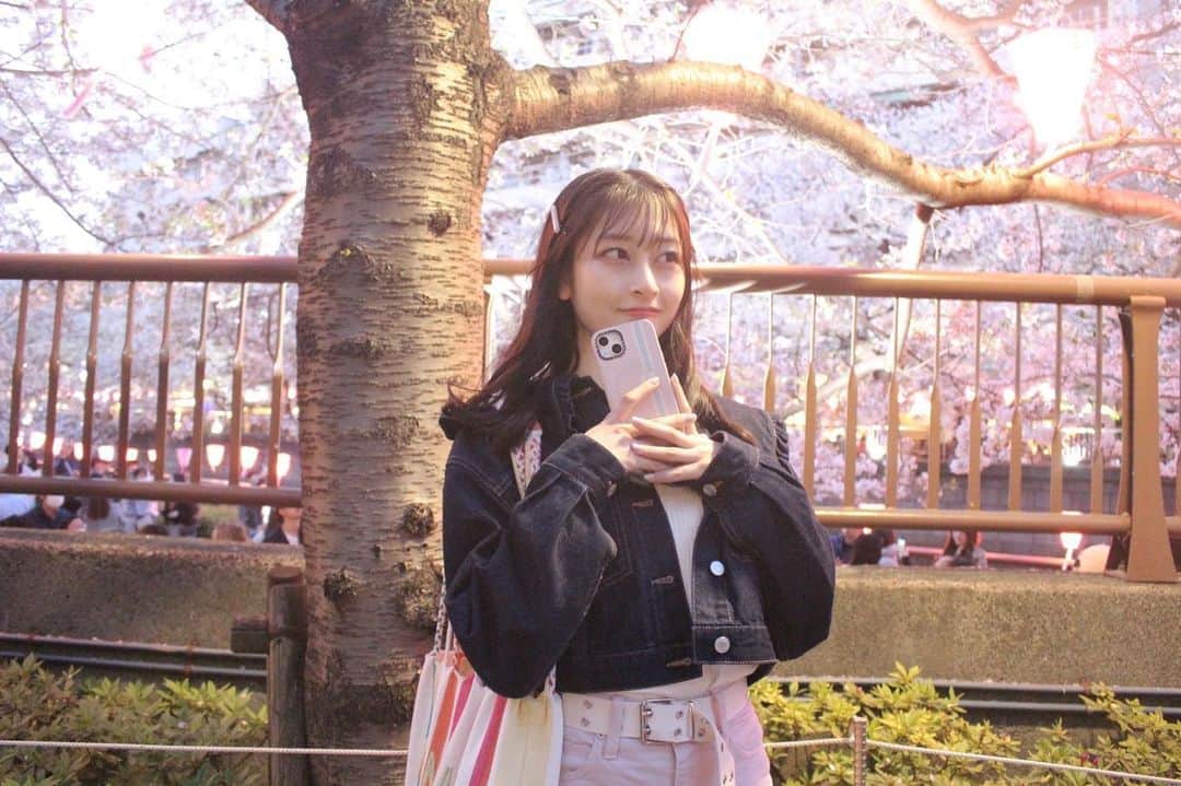 高井千帆さんのインスタグラム写真 - (高井千帆Instagram)「⁡ 今年もぎりぎり桜見れました🌸 暗くなってライトアップされた夜桜もとてもよかったなぁ〜 ⁡ 大好きなお友達がカメラでたくさん撮ってくれたので たくさん載せます☺︎📷」4月2日 22時30分 - chiho_takai_official