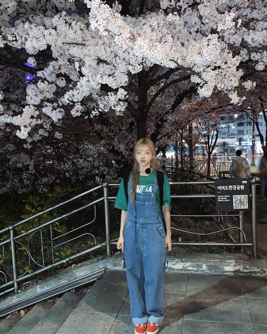 スアさんのインスタグラム写真 - (スアInstagram)「벚꽃으로 가득 찼던 주말이요따 (♥) 🌸🌸」4月2日 22時33分 - midoricoo