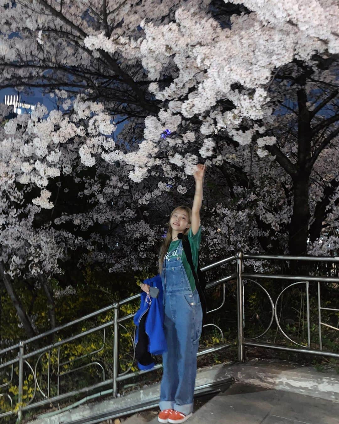 スアさんのインスタグラム写真 - (スアInstagram)「벚꽃으로 가득 찼던 주말이요따 (♥) 🌸🌸」4月2日 22時33分 - midoricoo