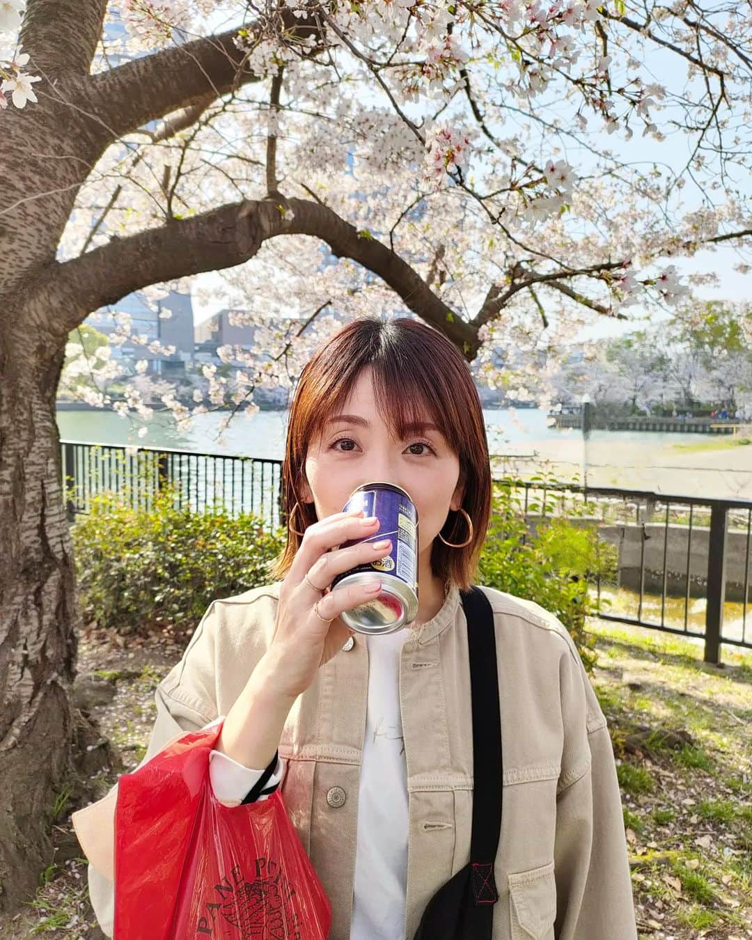 林智美 さんのインスタグラム写真 - (林智美 Instagram)「缶ビールと、 パネポルチーニのパン持ってサクッと🌸 ほろ酔い&睡魔に襲われ。 このあと帰って爆睡。  今年ラストお花見かなぁ。 まだまだ楽しみたいなぁ。  #桜 #桜2023 #お花見 #ソメイヨシノ #桜パトロール #🌸 #とも散歩 #大阪 #桜ノ宮 #パネポルチーニ #超おすすめ」4月2日 22時42分 - h_tomomi_i