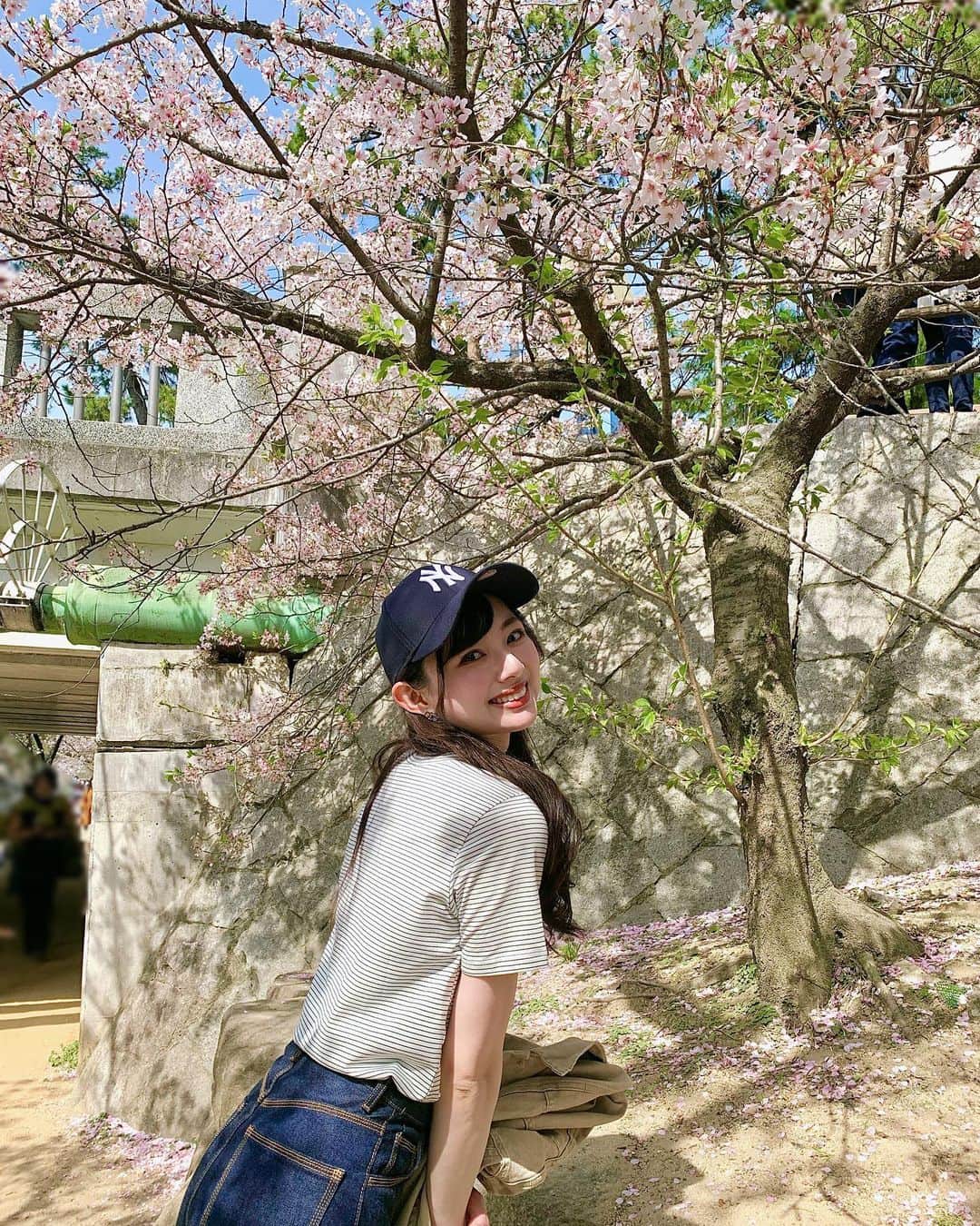 川村まりのインスタグラム：「滑り込み桜🌸 葉っぱが見えてるけど、見ないふり！！！ あったかくて、上着脱いで半袖で歩いてた〜」