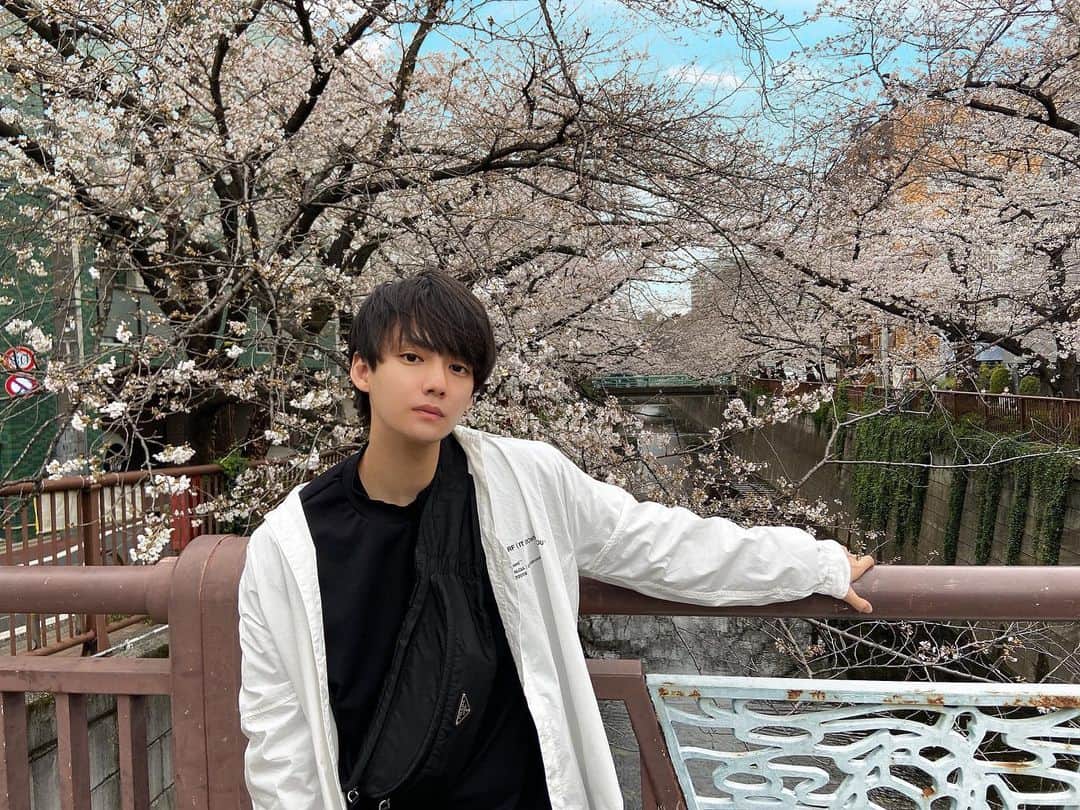 のインスタグラム：「桜の季節🌸  皆さんお花見しましたかー？🤔  これは2年前、、  #桜 #花見」