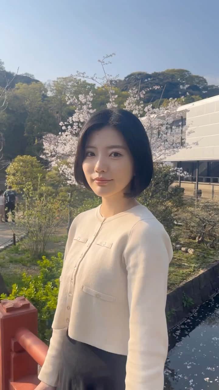 のインスタグラム：「. 昨日はとっても暖かくてアウターなしでお出かけに🌸 ぽかぽかしてて気持ちよかったな☺️ #春#桜#鶴岡八幡宮」