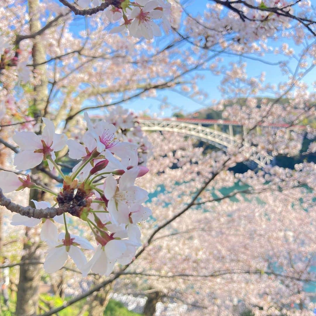 羽地政義のインスタグラム