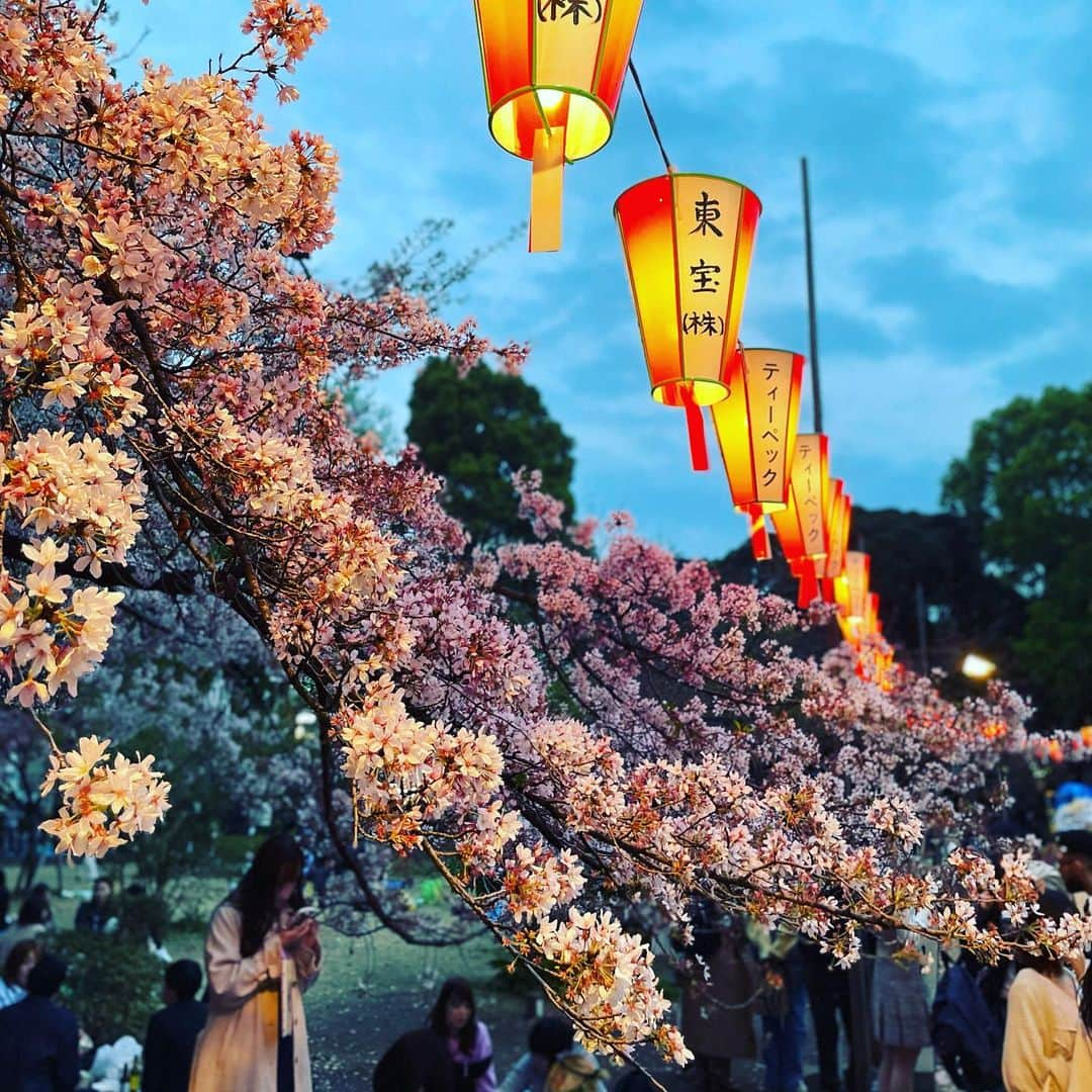 徳南堅太のインスタグラム：「滑り込みで花見🌸  葉桜もちらほら見えるけど、帰国後にまだ桜咲いてて良かった🍃  新年度も頑張りましょう‼︎ 💪🏻💪🏻  #4月 #新年度 #春 #花見  #さくら #sakura #太極拳」