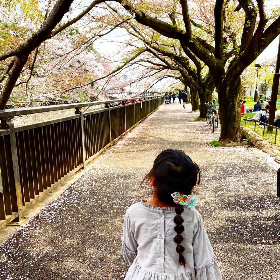 新井美穂のインスタグラム：「バタバタしていたけど、ギリギリセーフ。 桜の花びら舞い散る2023年お花見🌸😊  #娘6歳10ヶ月#祖師谷公園」