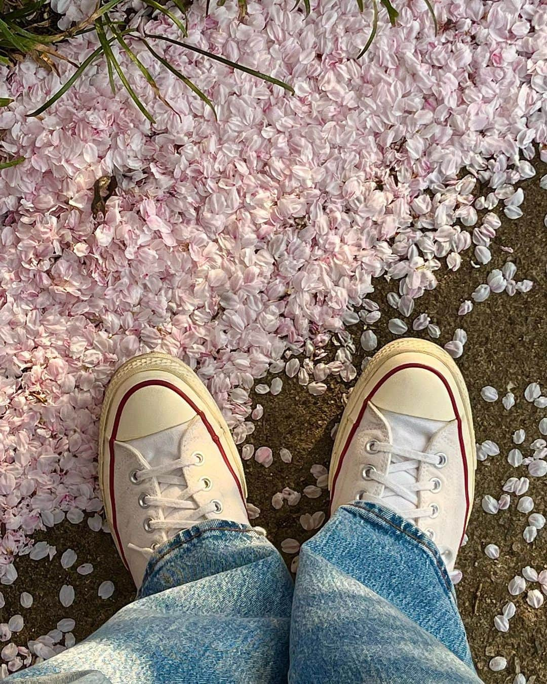 キム・カンミンさんのインスタグラム写真 - (キム・カンミンInstagram)「벚꽃 구경 🌸💕」4月2日 23時12分 - kangmeen