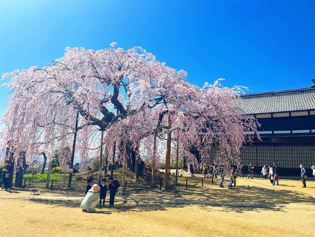 林恵理さんのインスタグラム写真 - (林恵理Instagram)「中継の思い出。 麻績の里舞台桜の前で、仲良くなった可愛い地元の子達と！ 人生でこんなに褒めてもらったことないくらい、みんなが褒めてくれて、飯田市で過ごす時間は幸せいっぱいでした✨  麻績の里舞台桜は、胸高周囲約4m、樹高約12mの古木で、とっても美しいシダレザクラ。 花びらの数が5枚から10枚という不安定な花弁の数ですごく珍しい桜なんだそうですよ！  10枚見つけたら、かなりラッキーらしいので、3枚目の写真はラッキーのお裾分けです✌︎ ちゃんと数えてねー！笑 . . #オフショット #生中継 #長野県 #長野 #飯田市 #麻績の里 #麻績の里舞台桜 #シダレザクラ #半八重シダレザクラ #nagano #reporter #model」4月2日 23時21分 - eri_rin.215