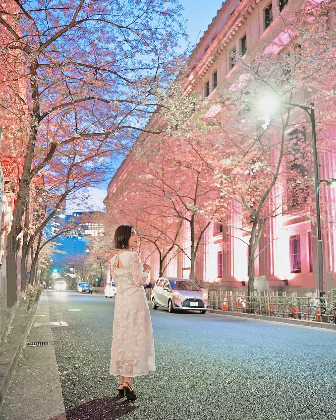 和希詩織のインスタグラム：「ライトアップされた🌸 . . 桜の名所の . 📍日本橋(江⼾桜通り) ライトアップは4/9まで！ . . . 📸2023.3/30 . . #桜#花見#桜スポット #お出かけスポット#江⼾桜通り#ライトアップ#cherryblossom #東京観光 #花のある風景 #はなすたぐらむ #おでかけ #ふぉとじぇにっく #夜桜ライトアップ #夜桜」