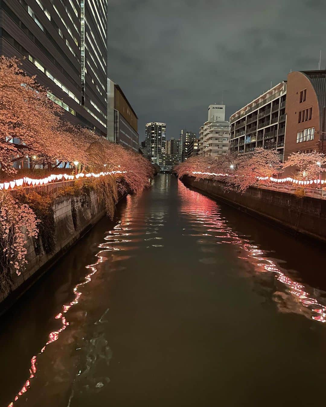 のインスタグラム：「🌃🌸」