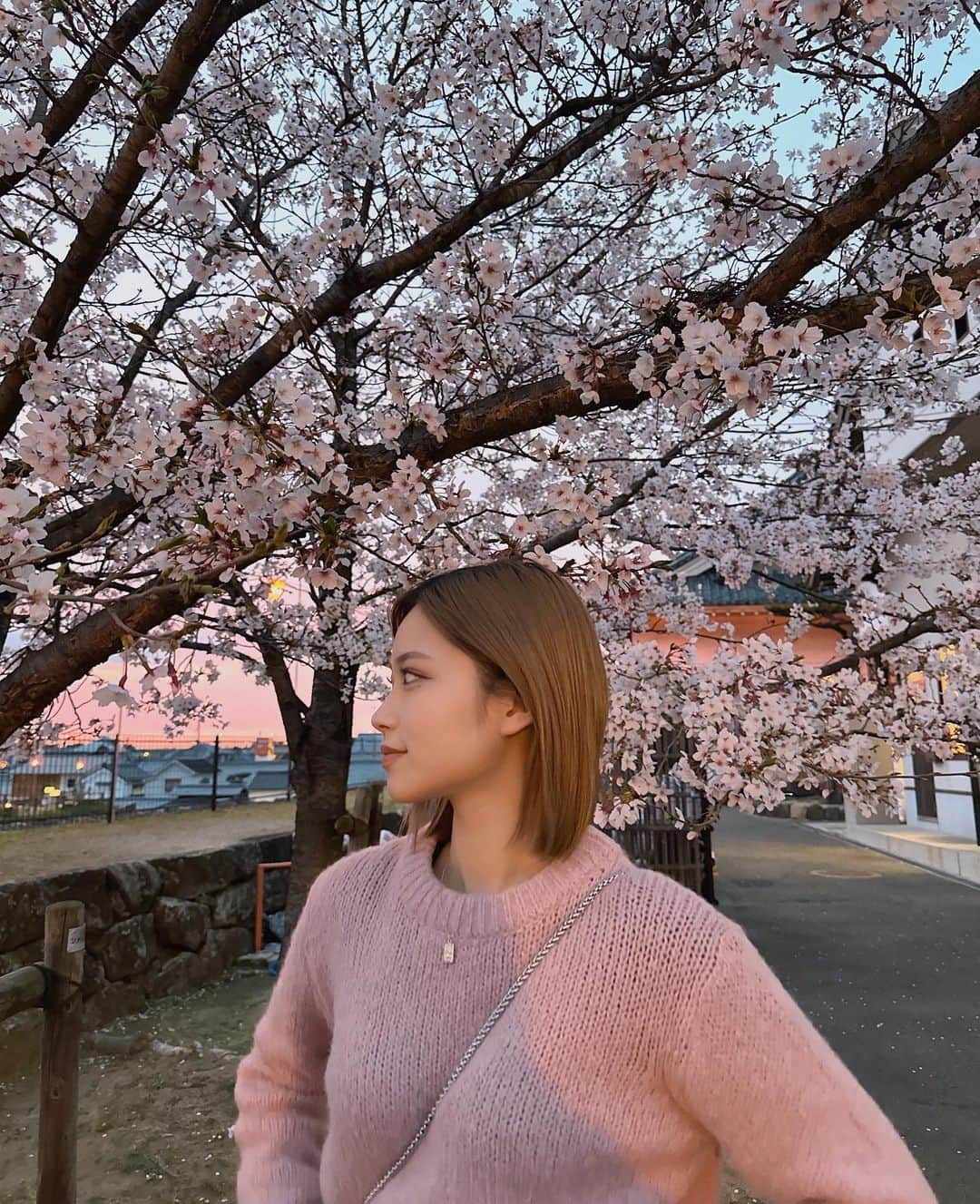 erinaさんのインスタグラム写真 - (erinaInstagram)「桜の季節来るの早い🤧🌸」4月2日 23時38分 - e___rrina