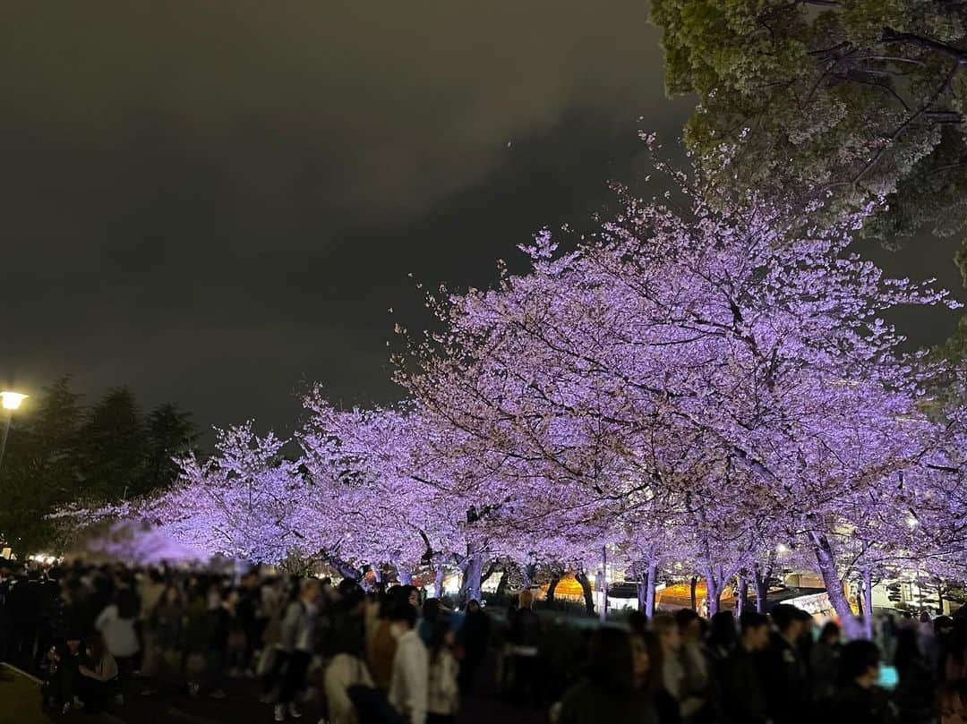 松原朋美さんのインスタグラム写真 - (松原朋美Instagram)「🌸🍡🌸  滑り込みで夜桜を見に行ってきました🥳🥳  ライトアップされた桜が本当に綺麗で今年も春の訪れを素晴らしい景色で感じることができました！🥰  #花見#夜桜 #松原朋美 #大前りょうすけ」4月2日 23時39分 - matsubara.tomomi.0205