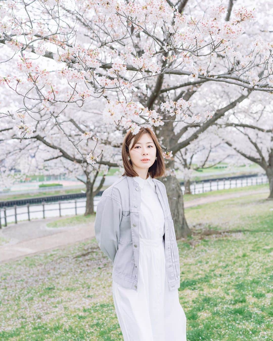 吉野史桜のインスタグラム：「桜と一緒に写真撮ってもらったよ🌸 撮りたいタイミングでお声がけいただきびっくりでした☺️  今日からちょいちょい投稿してきま〜🙌  Photo by @genphotogenic  ↑ 冷静なようで面白い人でした😂 ありがとうございました🌸🌸  #ポートレート  #写真 #photography #photo #photoshoot #portrait #桜 #さくら #🌸 #春 #spring #赤羽」