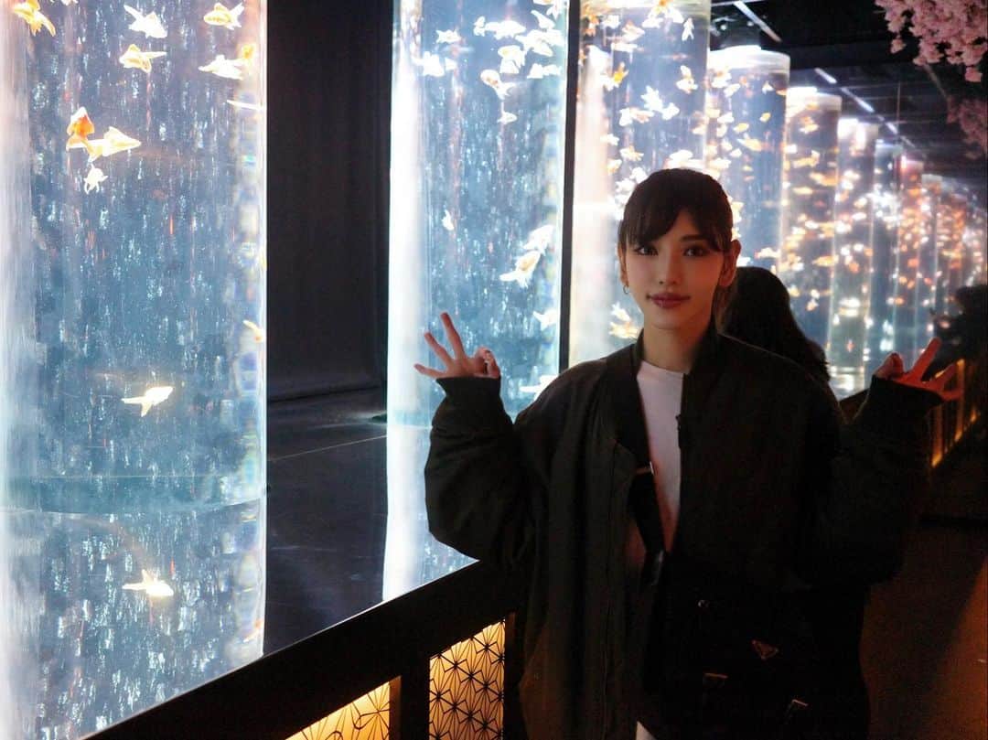 城品萌音のインスタグラム：「♡ I went to see the Goldfish Art Aquarium🐟 The title was "really cherry blossoms",but it didn't feel like cherry blossoms😂 But it was a more beautiful space than I had imagined🌸  金魚のアートアクアリウムを見に行きました🐟 「めっちゃ桜」ってタイトルだったけど、そんな桜感はなかった😂 けど想像してたより綺麗な空間でした🌸   @jr._marques  #Artaquarium #金魚 #銀座三越 #桜 #4月25日まで開催中」