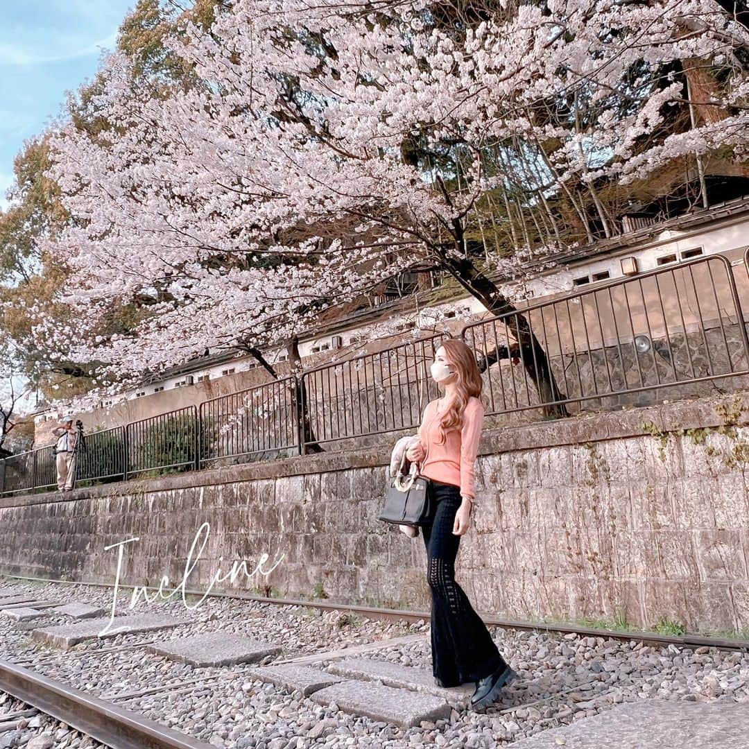 鈴木絢子さんのインスタグラム写真 - (鈴木絢子Instagram)「・ ・ 【蹴上インクライン🌸】 この時期、夕焼けの蹴上は最高✨  桜の花びらが夕日に透けて見えて、 ため息が出る美しさです🙌  582mに渡る傾斜鉄道＝インクライン。 両サイドに咲き誇る桜と線路のコラボを こんなに堂々と歩けるのはきっとここだけ🌟  着物姿の方がたくさんいて👘 これまた絵になる風景でした🤗✨✨ ・ ・ 🌸美容チームの女子旅🌸 白金 サロンオーナー ゆみさん 美人ぬかのリアル社長 久保さん  食とインナービューティー、 化粧品の話でいつも盛り上がる3人✨ そういえば昔から我が家のバスルームには 「美人ぬか」があったなあ、、☺️  二条駅前の手羽先屋さんで乾杯しつつ🍻🌟 祇園の夜桜を観た、暫しの京都旅（日帰り） 満喫しました✨✨ ・ ・ MEMO #蹴上インクライン 京都府京都市左京区南禅寺福地町 アクセス	地下鉄蹴上駅からすぐ ・ ・ ・ #蹴上 #京都の桜 #線路と桜 #桜満開 #京都女子旅 #女子旅 #女社長 #美容家 #夜桜ライトアップ #ライトアップ #桜 #桜吹雪 #kyoto #keage #sakura #cherryblossom #🌸」4月3日 1時17分 - ayako_suzuki810