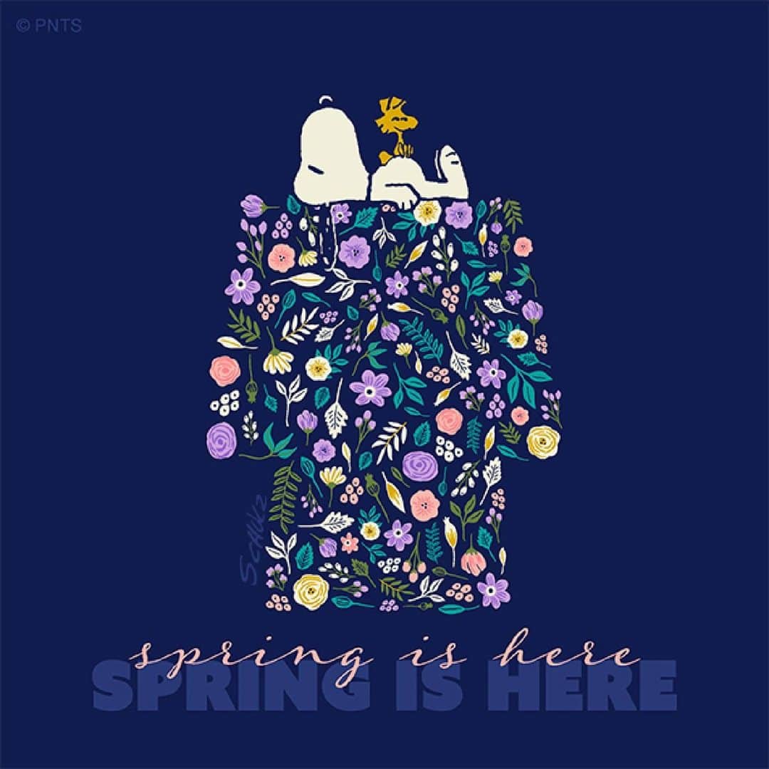 スヌーピーのインスタグラム：「Bloom where you are planted」