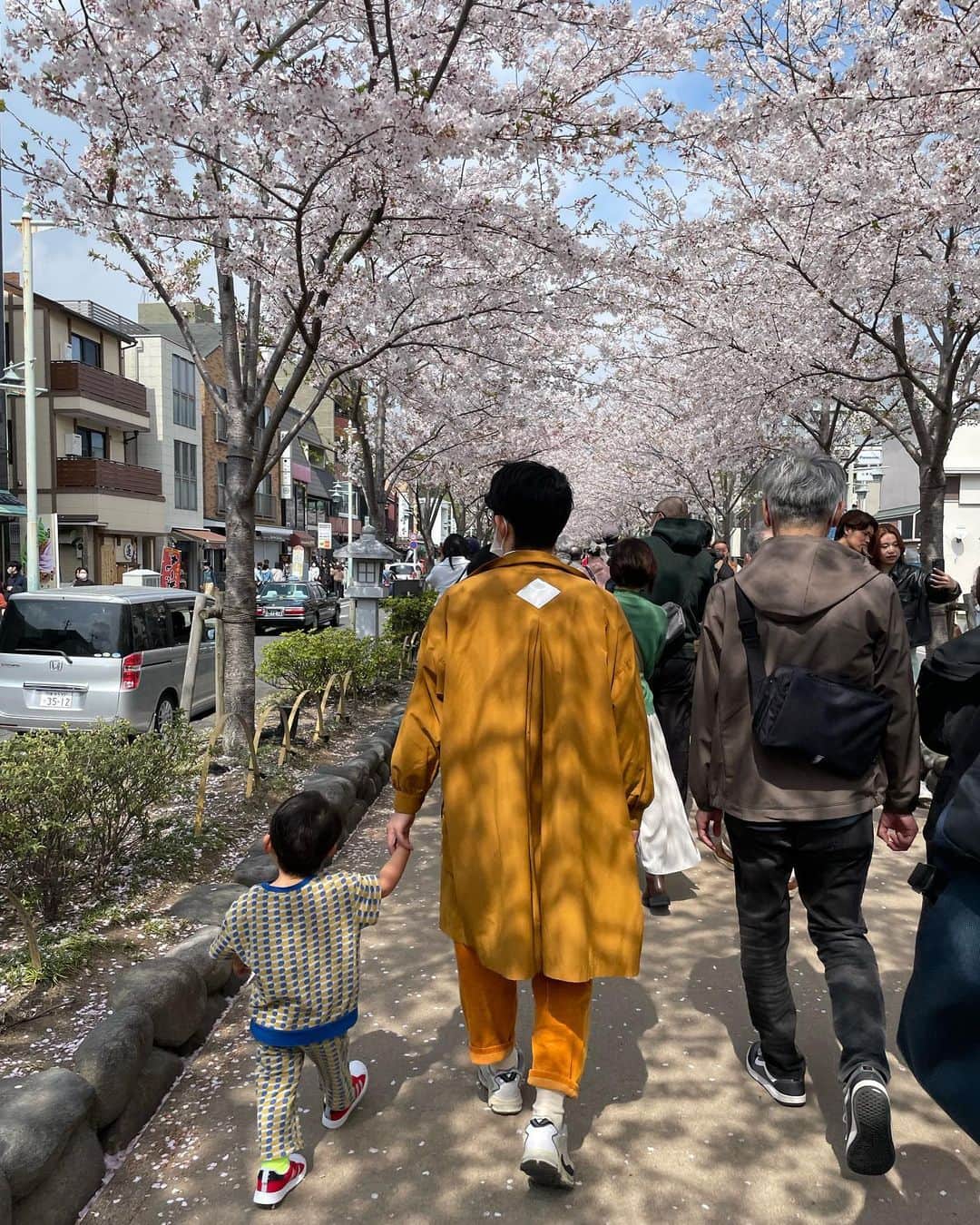馬渕史香のインスタグラム：「土曜の朝、旦那さんの「鎌倉行きたいなー」とふとしたつぶやきから「行こうか」ってことで、日曜に行ってきた！ 　 　 旦那さんの実家や親戚の家で行ってはいたけど、THE鎌倉なところに行くのはめちゃくちゃひさしぶり😳  多分、妊娠中の戌の日参り以来やで、3年半振りぐらい？ 　 　 着いたら若宮大路の段葛の桜がちょうど満開🌸 風もいい感じで吹いてて、吹くたびに花びらが舞ってきれいやったぁ😚 　 　 鶴岡八幡宮お参りして、江ノ電乗って長谷寺行って、海行って帰ってきた⛩✨ 　 　 息子にとっては初鎌倉で、もうそれはそれは終始楽しそうやった🙌  けど、段葛を歩いて、八幡宮の大階段も登って、長谷寺でも階段上り下りしたり、弁天窟入ったり、海で波を追いかけっこしたり、めちゃくちゃ歩いてはしゃいだもんだから、帰りの電車で耐えきれずスッと寝て、外出の時にはめずらしく2時間爆睡してた🤭 　 #鎌倉 #鶴岡八幡宮  #長谷寺  #あしざわ家  #令和2年生まれ #5月生まれ #男の子 #boy #2020boy #男の子ママ  #ずぼら主婦」