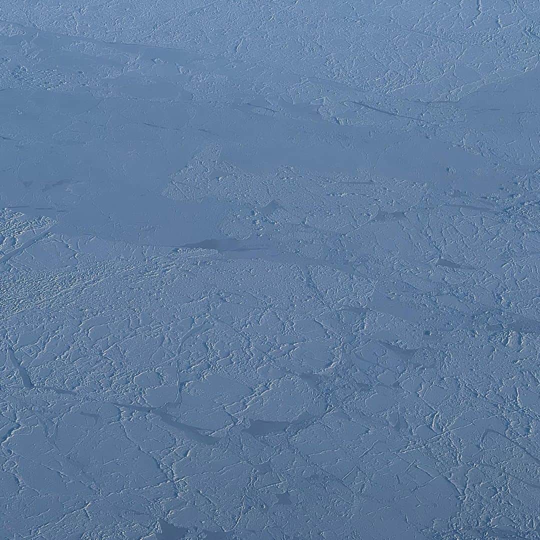 榎戸教子さんのインスタグラム写真 - (榎戸教子Instagram)「娘との世界一周がスタート。 3月31日、羽田空港から飛び立ちました。 スカンジナビア航空で14時間、 デンマーク・コペンハーゲンへ。 「North Pole（北極点）を 25年ぶりに通ります」と 客室乗務員の方が伝えにきてくれました。 スターアライアンスの世界一周航空券、 ビジネスクラスのフライトは フルフラットになり驚くほど快適でした。  コペンハーゲン空港からコペンハーゲン中央駅に向かう電車の中で娘は夢の中へ。 キャリーバッグ&バックパック&娘、 トレーニングのような旅の始まりでした。  最高です。 夢に見ていた世界一周。 目がいくつあっても足りないくらい みたいものだらけです。  #世界一周 #デンマーク #コペンハーゲン」4月3日 3時15分 - noriko_enokido