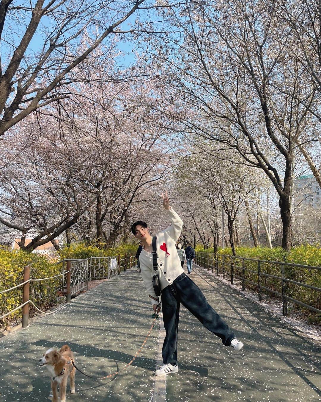 ユン・ジソンさんのインスタグラム写真 - (ユン・ジソンInstagram)「#벚꽃 🌸」4月3日 12時56分 - _yoonj1sung_