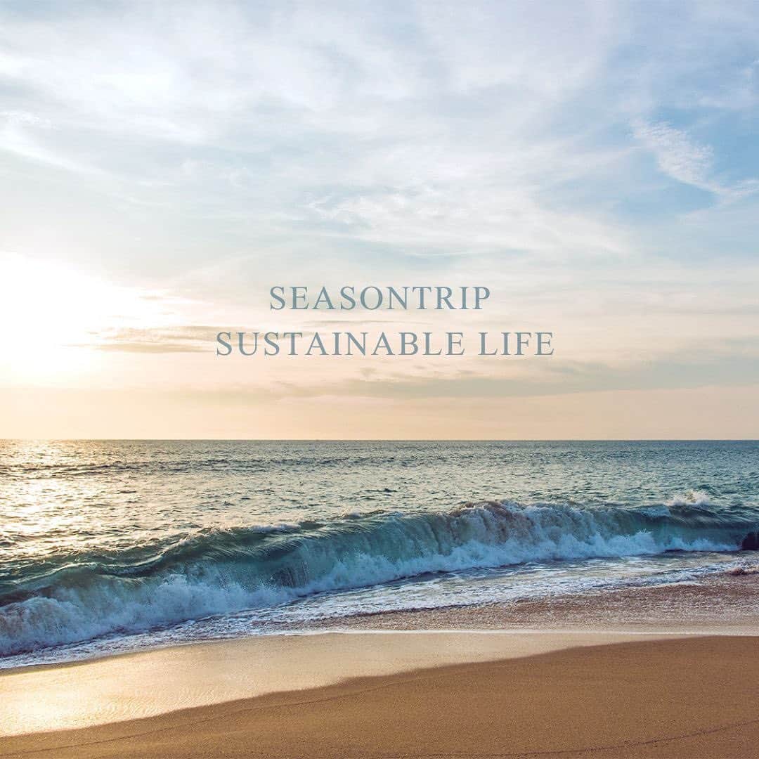フォードヘア化粧品のインスタグラム：「【SEASONTRIP SUSTAINABLE LIFE】 新しいシーズントリップは、 環境保全に配慮した植物由来のプラスチックを採用。※  また、宮古島産のアロエベラから抽出したアロエベラ葉エキスを全商品に配合。 サンゴの保全やビーチのクリーンな環境づくりへの貢献をはじめ、 沖縄県産のシークワーサー果汁抽出後の果皮のアップサイクルを行い、 香料の一部として全商品に配合しています。  ※チューブ・エアゾール製品を除く  #mianbeauty #ミアンビューティー #seasontrip #シーズントリップ #サマーヘアケア #夏コスメ #夏シャンプー #クールシャンプー #クール #髪質改善 #頭皮改善 #頭皮ケア #スキャルプケア #頭皮マッサージ #頭皮クレンジング #美髪ケア #サステナブル #sustainable #サステナブルビューティー #手肌にやさしい #保湿ケア #頭皮トラブル #美容師さんと繋がりたい #美容好きな人と繋がりたい #新製品 #ニューアイテム」