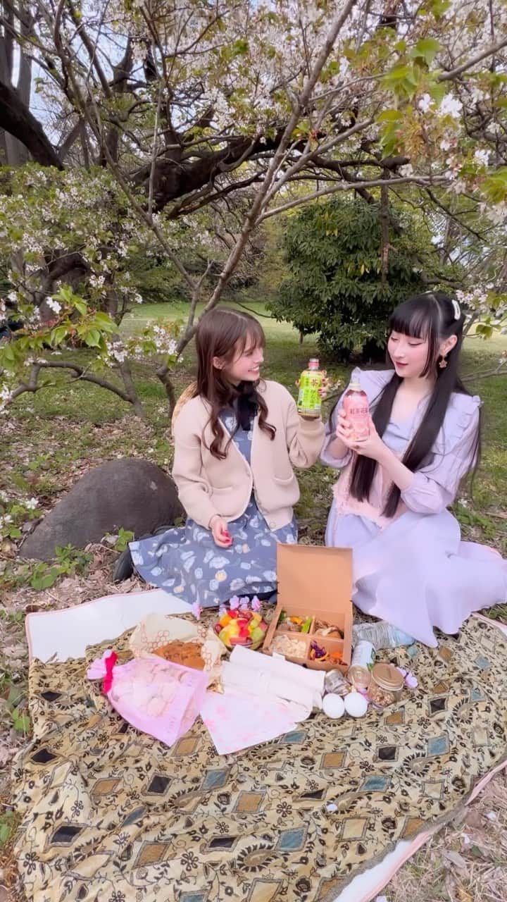 RinRinのインスタグラム：「Join us in our attempt to have a picnic 🌸🌸🌸 ・・・ #vlog #cherryblossom #picnic #japanvlog #花見 #yoyogipark #harajuku #hanami」