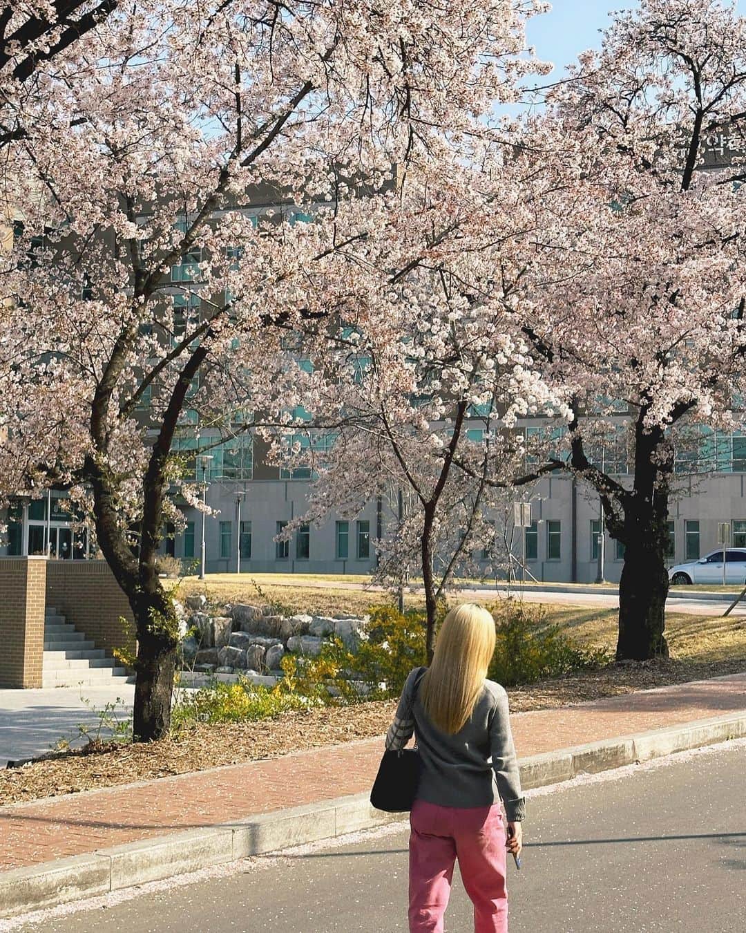 キム・イェウォン さんのインスタグラム写真 - (キム・イェウォン Instagram)「봄이어요」4月3日 13時16分 - ye_.ve_ly