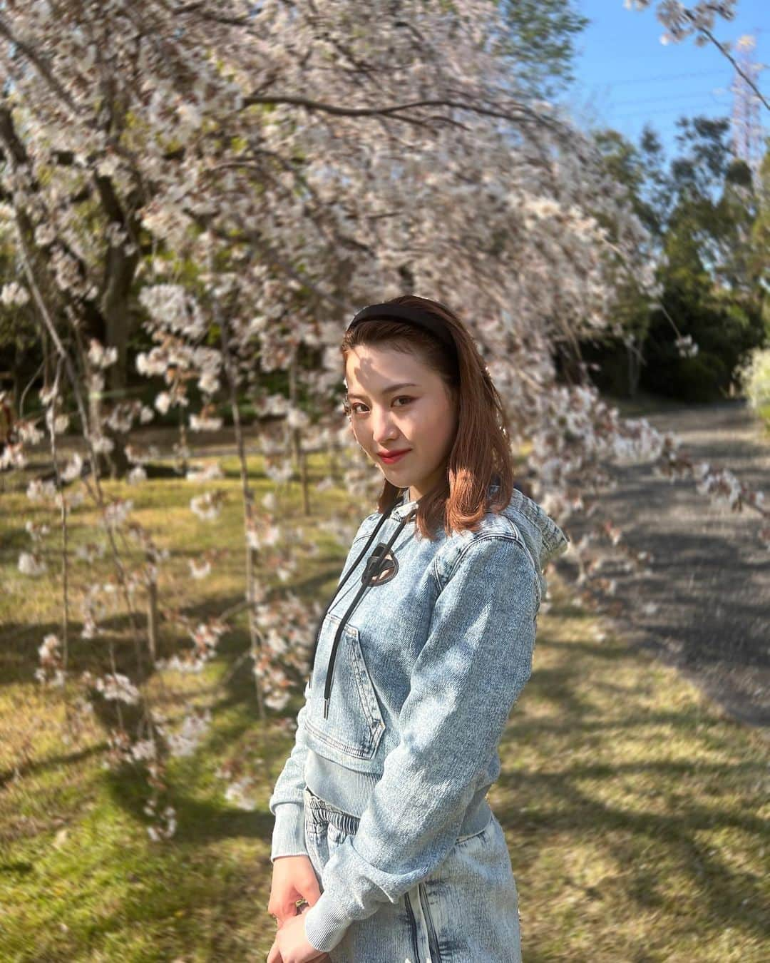 一羽萌瑠のインスタグラム：「🌸🌸🌸🌸🌸🌸🌸🌸🌸🌸  眩しくて目つき悪し  #服部緑地  #服部緑地公園  #植物園  #桜  #桜スポット  #大阪  #大阪花見  #お花見  #cherryblossom」