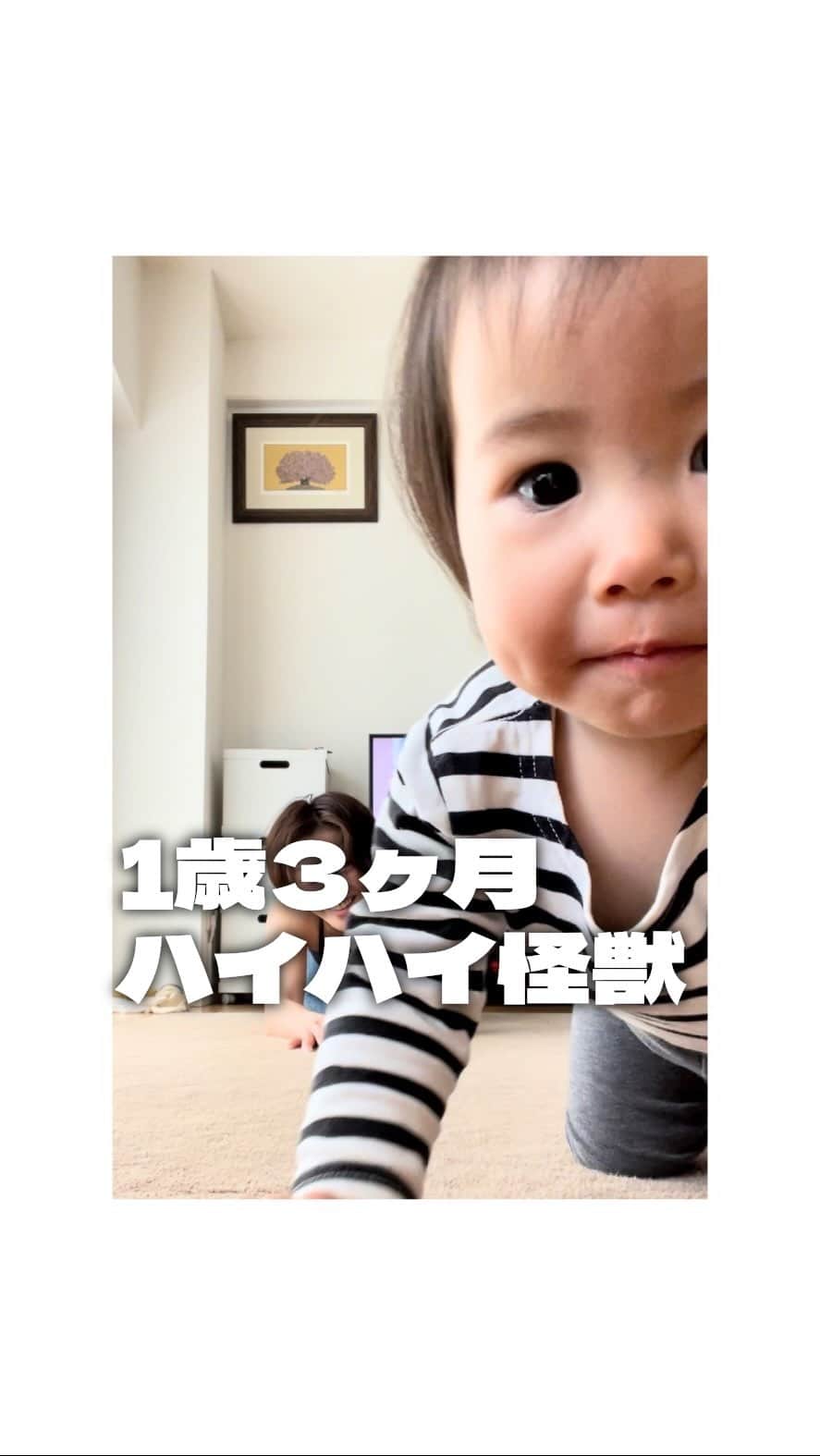 笹峯愛のインスタグラム：「携帯に気がつくと 拾って「はい、どーじょ」と渡してくれます。  たまに耳にあてて 「はいはい」 とやっていますが、必ず裏表逆であててます。  まだ歩く気はないらしく 立ってドヤ顔はするけども するするとしゃがみ込み、高速ハイハイで決めてくる。  立ち上がって軸を感じている姿が 逆転やってる自分の感じと被るので 娘の気持ちに、とても共感できる母です（笑）  #1歳3ヶ月 #女の子ベビー」