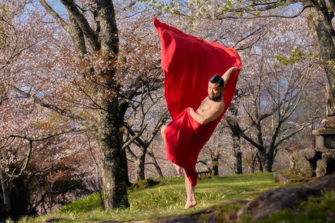 五十嵐結也のインスタグラム：「『ふんどし日和 in 奈良県』  革命〜春のおとずれ  photo by 飯野高拓 @iino_dance_camera   #ふんどし日和 #ふんどしダンサー #奈良県 #吉野山 #桜  ふんどし日和インスタアカウント @fundoshi_biyori   ふんどし日和YouTubeチャンネル https://youtube.com/@fundoshi_biyori」