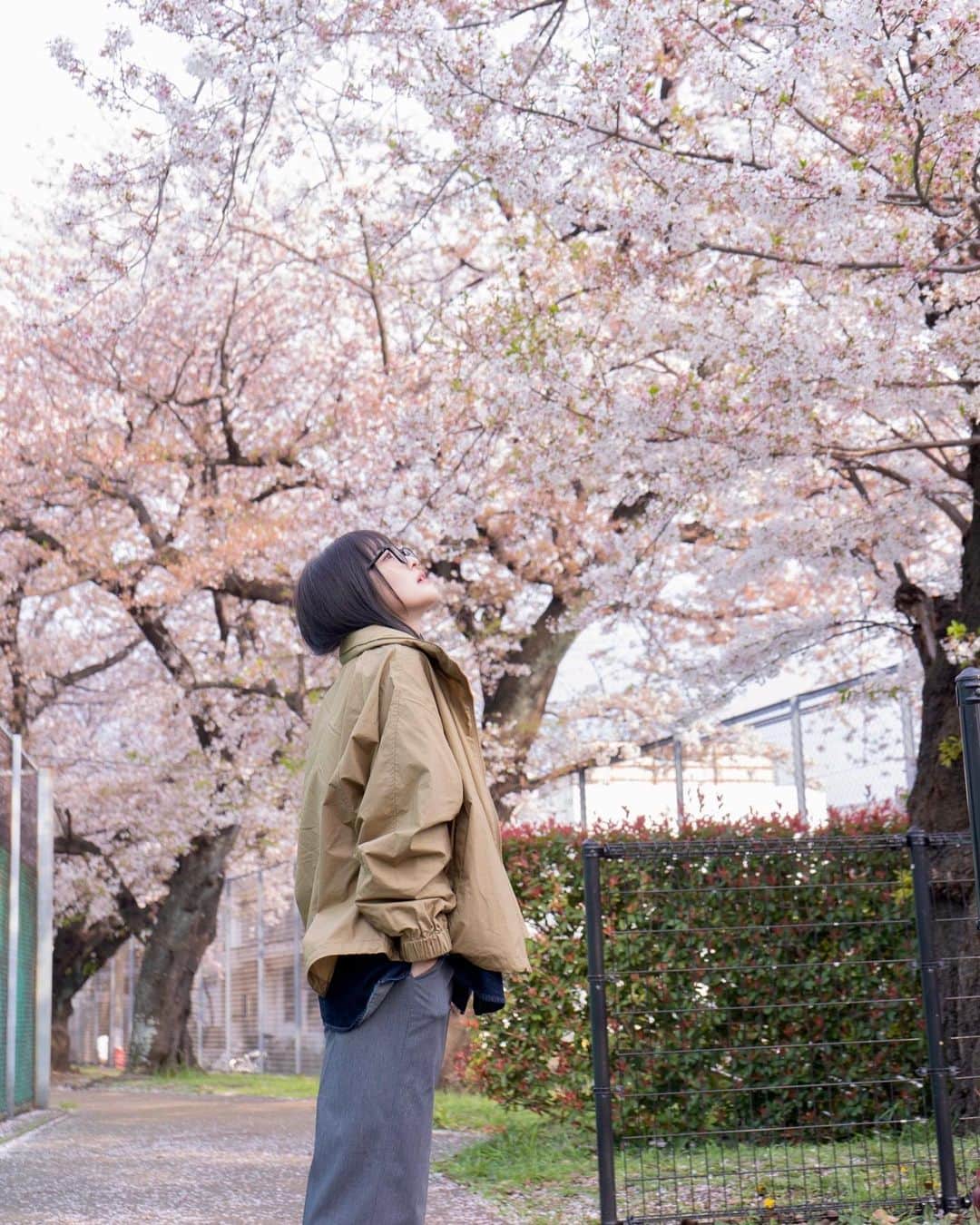 斉藤瑞季さんのインスタグラム写真 - (斉藤瑞季Instagram)「桜🌸パート3 ナチュラルな雰囲気シリーズ まだ桜投稿続きます」4月3日 13時48分 - mii_maricoco