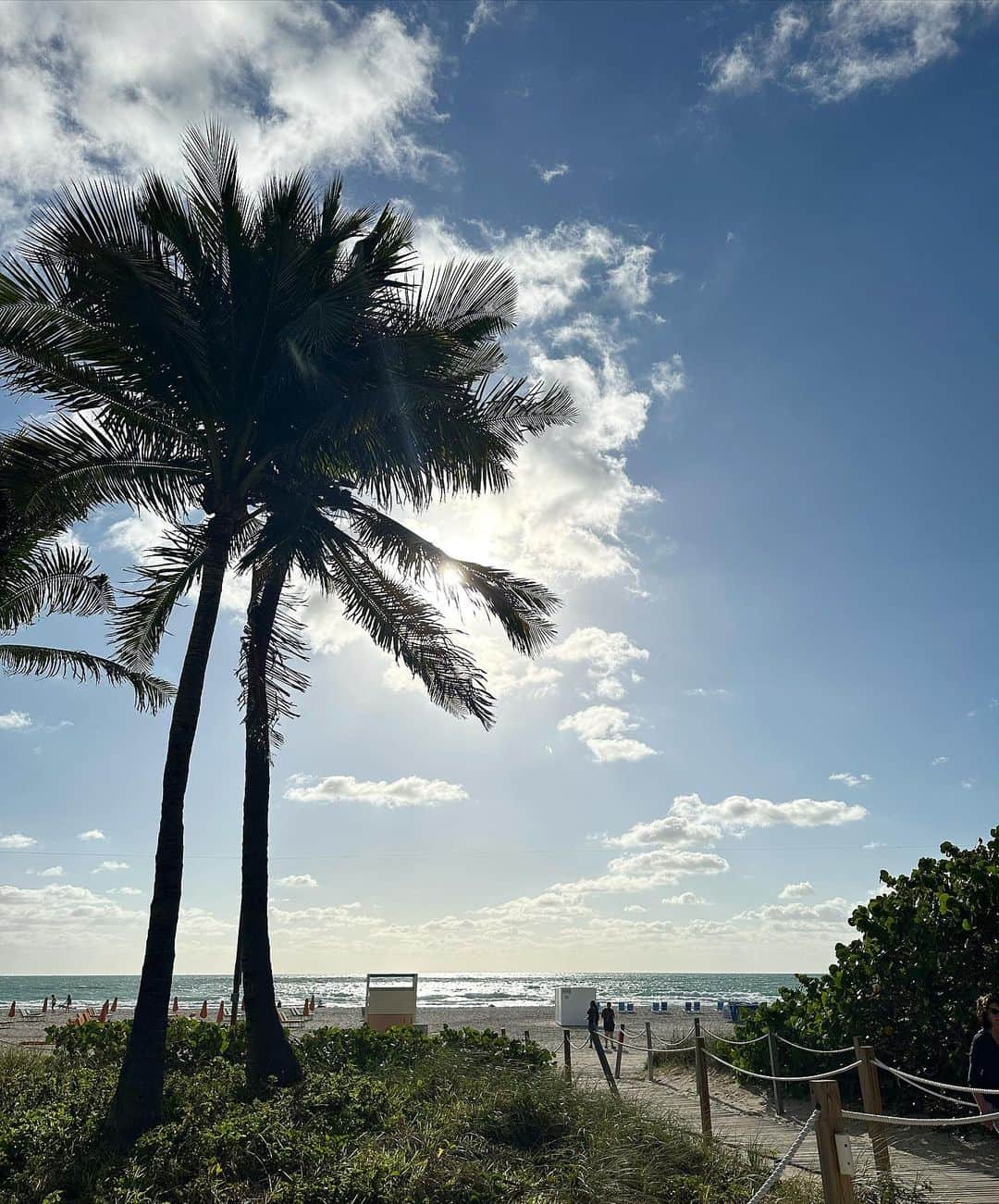 メリッサ・サッタさんのインスタグラム写真 - (メリッサ・サッタInstagram)「🌴🤍☀️✈️ #Miami 🇺🇸」4月3日 5時28分 - melissasatta