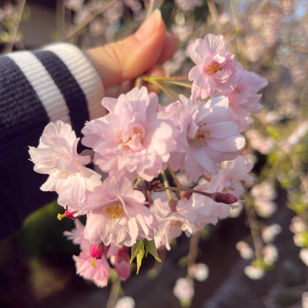 秋山みなみのインスタグラム