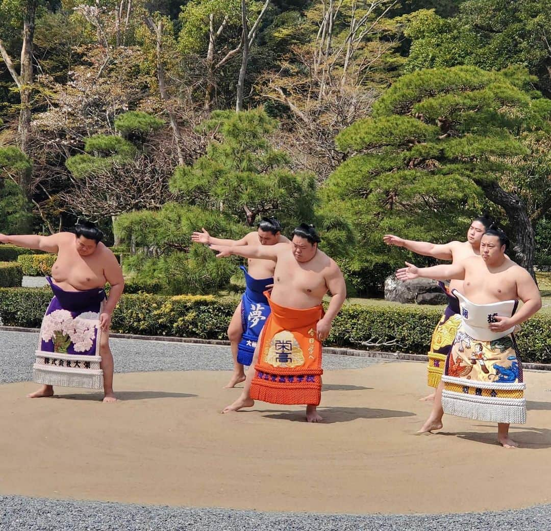 日本相撲協会さんのインスタグラム写真 - (日本相撲協会Instagram)「春巡業　伊勢神宮奉納大相撲  4年ぶり66回目の伊勢神宮奉納大相撲が、4月2日に開催されました。 手数入り奉納では、横綱による土俵入りと三役力士による揃い踏みが行われました。  幕内力士によるトーナメント戦では、竜電を決勝で破り豊昇龍が見事優勝！  最後の写真は、伊勢に向かう力士たち。 伊勢神宮奉納大相撲をはじめとし、4月は全国15ヵ所を春巡業で巡ります。 3日　#箕面 4日　#岡崎 5日　#稲沢 6日　#福井 8日　#上越 9日　#長野 15日  #藤沢 16日  #町田 17日  #靖国神社 奉納大相撲 22日 #横浜 23日 #高崎 28日 #成田 29日 #川崎 30日 #神栖  本場所とはまた違う楽しみ方ができる巡業。 ご来場の際は、お気をつけてお越しください。 また皆様の撮影したベストショット、たくさんお待ちしております！ #sumo #巡業 をつけて投稿してください！  @sumokyokai  #相撲 #伊勢神宮 #伊勢神宮奉納大相撲#照ノ富士  #豊昇龍 #japan #japanculture」4月3日 7時01分 - sumokyokai