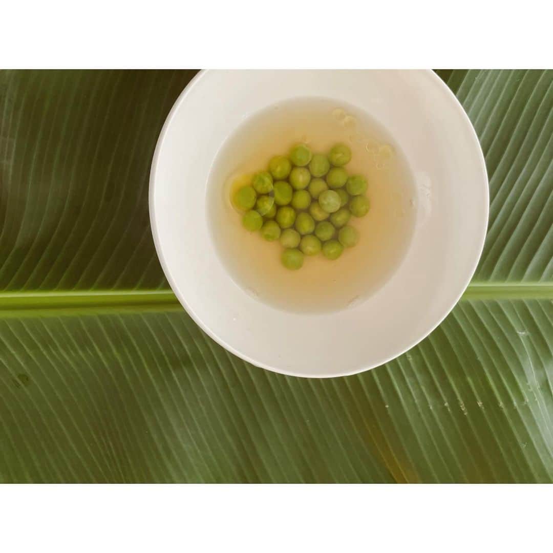 ハミルのインスタグラム：「. . 【　沖縄の休日　】  去年初めて沖縄で茶摘みをさせて頂いたご縁で、 今年も”星のたね”の早苗さんのところへ.  茶人の堀口一子さんのお茶会に合わせて、 午前のお仕事終わらせて、 お休み取って、飛行機に乗り込む。  午前の部柄参加しているKittaちゃんとも会えて、 @yuko_kitta  笑顔でほぐれている茶会のご参加されてる方々の 笑顔がたまらなく、こちらも幸せになる.  滑り込みで最後のパッションフルーツの スウィーツにもありつけて、 はぁ、沖縄来たぁってなった.  早苗さんのお料理は沖縄の食材と 日本の食材にしなやかに向き合って、 豊かな想像力と現実的なバランスとが、 見えない繊細なところで感じ取ってきた 探究心つまった料理なのに、気負いがない.  ちゃんと足元を固めて積み上げてきた人の底力を そっと感じる素晴らしいバランスです.  この方の料理をいろんな人に食べてもらいたい…が、 おひとりで作られているので、1日5客のみ…  ていねいに作られたお皿を食べられる沖縄の人は、 幸せやなぁ..  さて、福田は、沖縄でのほほん 少しのんびりして、京都に入ります！  *メールではちゃんと仕事しますよ！  #星のたね #沖縄 #たまの休み #沖縄休日」