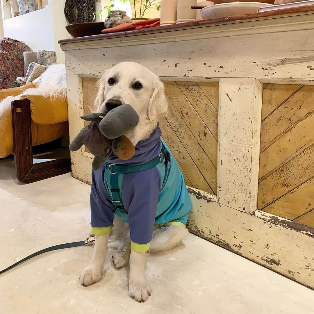 Beam & Anchorのインスタグラム：「Sweet customers making great selections 😉 Happy Sunday, friends!」