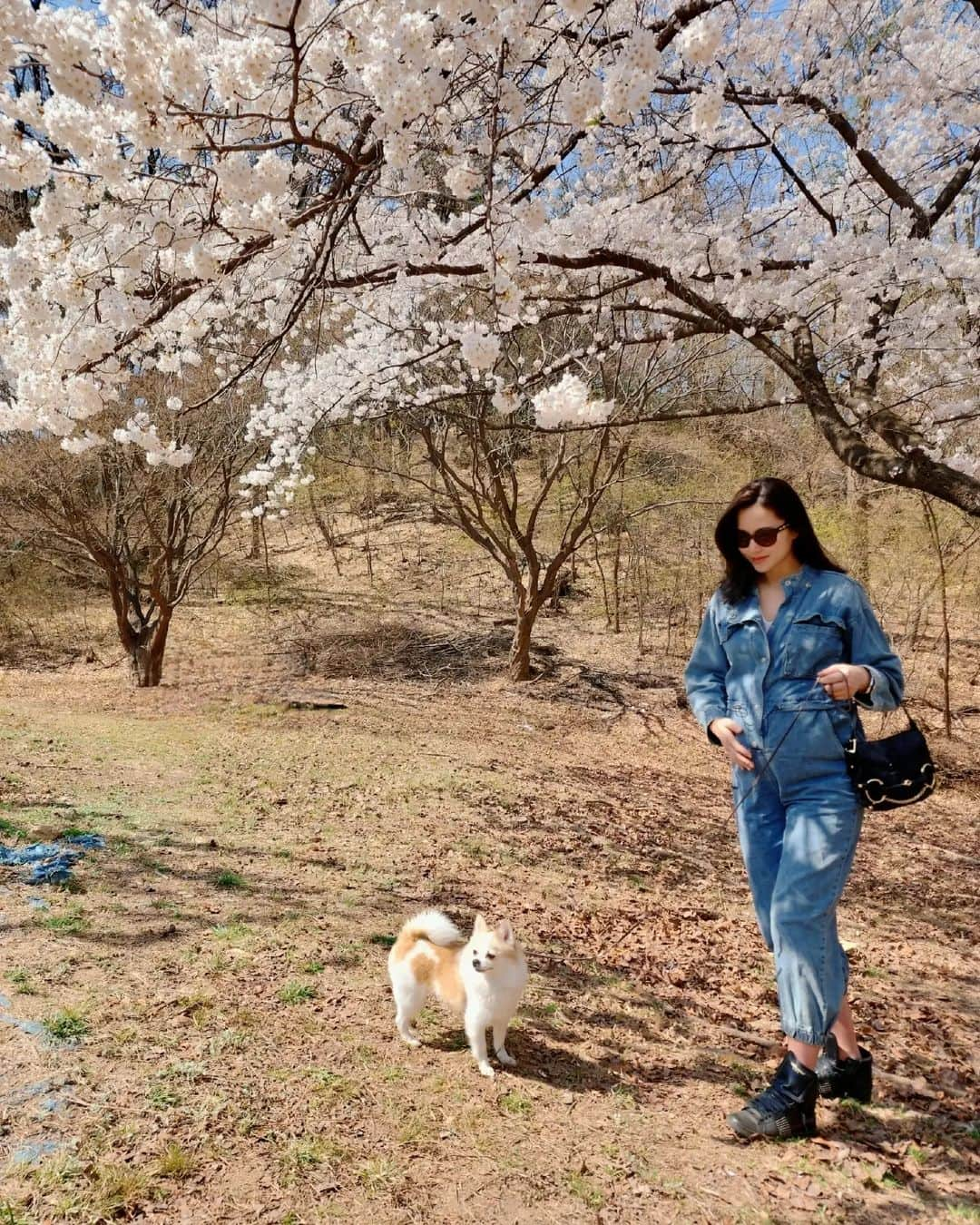 コン・ヒョンジュさんのインスタグラム写真 - (コン・ヒョンジュInstagram)「#봄봄봄#서울대 #벚꽃명소 🌸🌸🌸  주말에 사람이 많을 것 같아서 꽃구경 포기했는데 임신 기간 동안은 서운한 게 없어야 한다며🤭 비교적 한적한 곳으로 데려가서 사진 찍어주는 남편👍👏👏👏 덕분에 행복한 추억 한가득🥰  #25weeks #예비맘 #주말데이트」4月3日 8時41分 - konghyunjoo