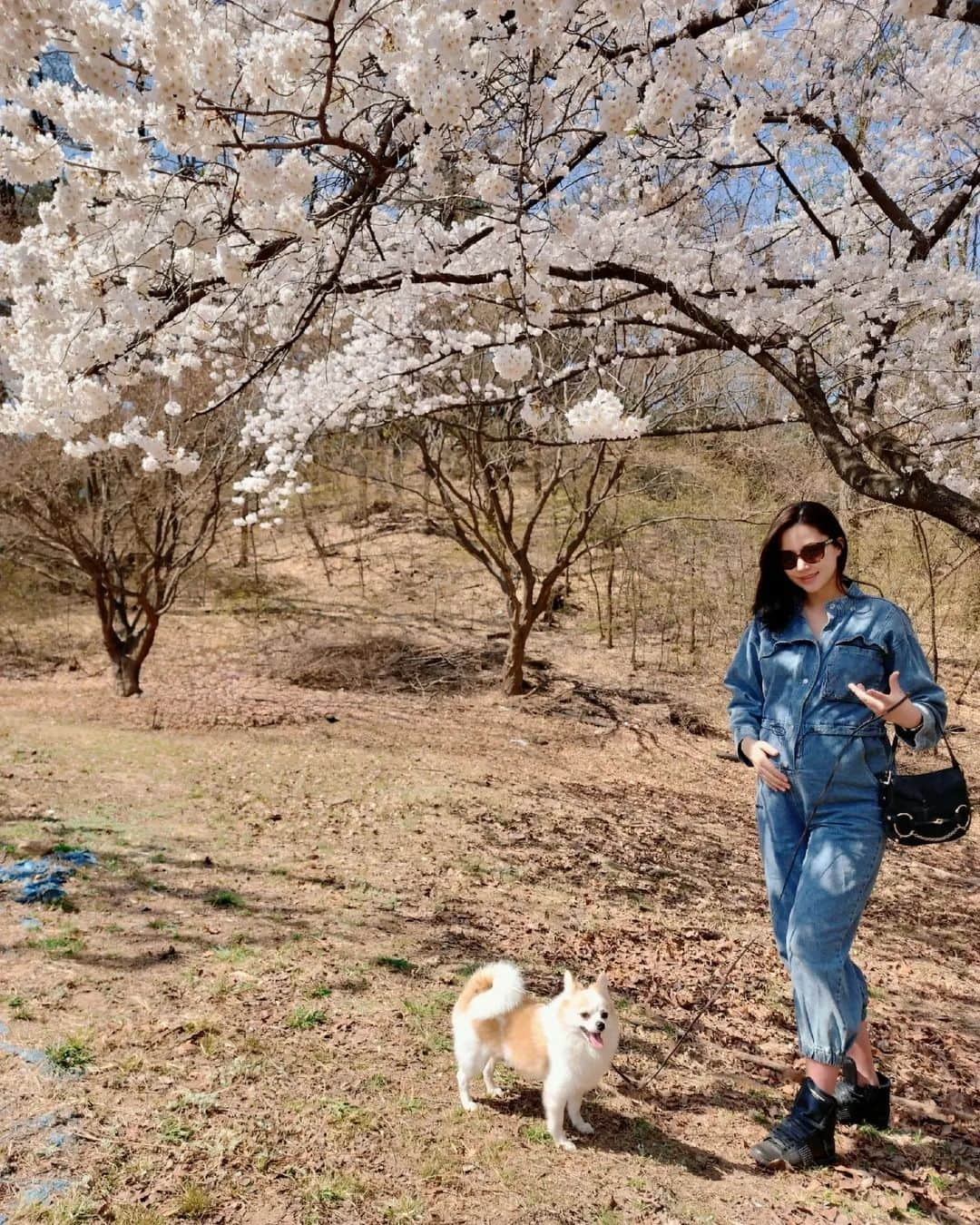 コン・ヒョンジュさんのインスタグラム写真 - (コン・ヒョンジュInstagram)「#봄봄봄#서울대 #벚꽃명소 🌸🌸🌸  주말에 사람이 많을 것 같아서 꽃구경 포기했는데 임신 기간 동안은 서운한 게 없어야 한다며🤭 비교적 한적한 곳으로 데려가서 사진 찍어주는 남편👍👏👏👏 덕분에 행복한 추억 한가득🥰  #25weeks #예비맘 #주말데이트」4月3日 8時41分 - konghyunjoo