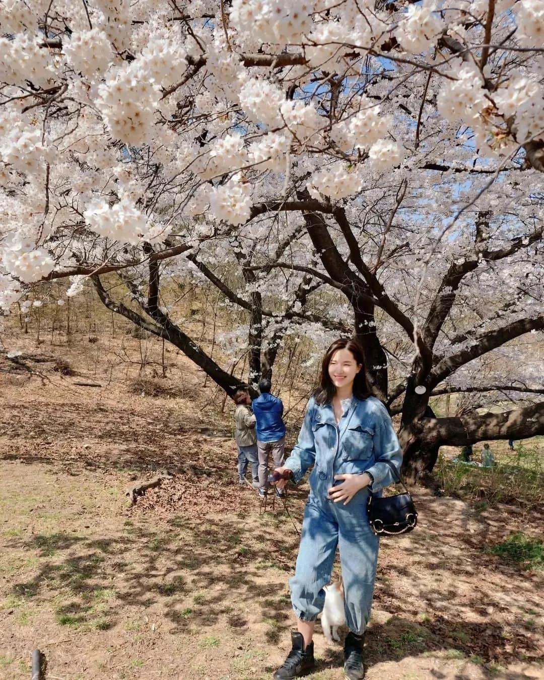 コン・ヒョンジュさんのインスタグラム写真 - (コン・ヒョンジュInstagram)「#봄봄봄#서울대 #벚꽃명소 🌸🌸🌸  주말에 사람이 많을 것 같아서 꽃구경 포기했는데 임신 기간 동안은 서운한 게 없어야 한다며🤭 비교적 한적한 곳으로 데려가서 사진 찍어주는 남편👍👏👏👏 덕분에 행복한 추억 한가득🥰  #25weeks #예비맘 #주말데이트」4月3日 8時41分 - konghyunjoo