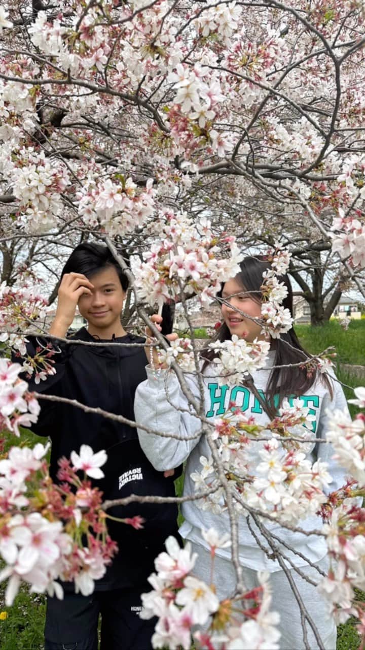 増山敬子のインスタグラム：「桜🌸 この季節花粉症がひどくてひどくて春があまり好きじゃなかったんだけど、今年の春は症状が緩やかだから 鼻栓とかなく過ごせました🥹🥹 花粉症って一体なんなんだ。免疫がついたのかな？ 昨日はお墓参りへ。 ご先祖様達が産んでくれたおかげで、今のみんなが居るから、今行きたい！っなってタイミングでお墓参りに毎年行くようになりました😌✨✨ 何か報告しろよっとじじに言われたので "彼氏が今年はできますように" ってご先祖にも報告してきたよ🤣🤣 みんなちゃんと私に合いそうな人居たら紹介してよ！  一応タイプは、 #あばれる君 みたいに生命力ありそうな人🐒  毎回タイプ聞かれて芸能人とか名前覚えられないから！書いといた！🤣  (ちなみに娘に彼氏じゃなくて結婚相手でしょー普通ーっと注意されました🤣) しかし、息子の顔の小ささにびびる。 #加工なし でございますよ！ さて今週も頑張って行こう！  #sakura#家族写真 #お墓参り#ご先祖様に感謝 #桜#桜並木#高校生ママ#40代コーデ#シングルマザー」