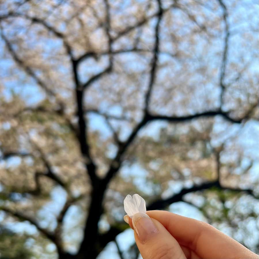 内田侑希のインスタグラム：「新学期や新生活など新しいことの始まる4月 不安な気持ちもあると思いますが、せっかくなら楽しみましょう😊 悔いのない人生を🌸」