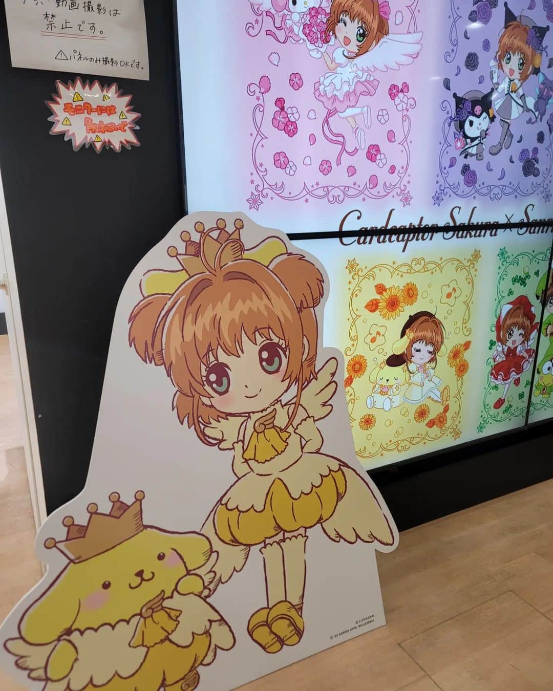黛実希さんのインスタグラム写真 - (黛実希Instagram)「🌸カードキャプターさくら🌸  CHOAでさくらをイメージしたコーデして カードキャプターさくら×サンリオコラボのPopup行ってきたよ💗🌸💗🌸 １人で行ったんだけどさくらの主題歌全部好きすぎて大熱唱しながらお買い物🎤🎶  ホカンス用にケロちゃん＆スッピーのでっかいトートバッグ買ったから早く披露したいな🤗💕笑  #カードキャプターさくら#cardcaptorsakura#木之本桜#카드캡터체리#ケロちゃん#アニオタ#アニオタ女子#制服レンタル#韓国制服レンタル#韓国制服#制服#制服プリ#인생네컷#韓国アイドル#ラフォーレ原宿#原宿#制服ユニバ#制服ディズニー#교복샷#교복스타그램#교복#韓国好きな人と繋がりたい#コスプレ#コスプレイヤー#校服#코스프레#cos#cosplay#cosplayer#schooluniform」4月3日 9時17分 - candymiiiki