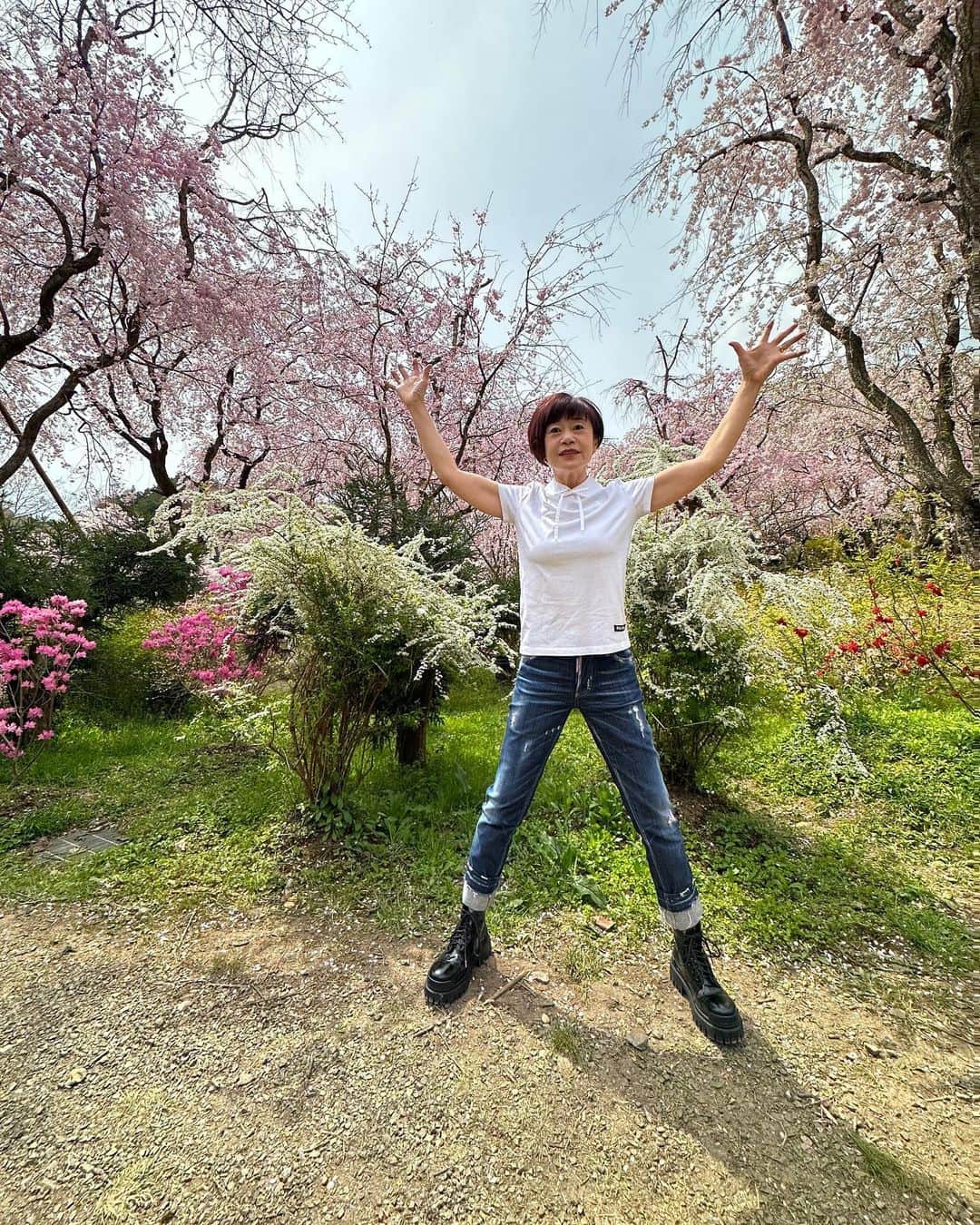 神野美伽さんのインスタグラム写真 - (神野美伽Instagram)「4月3日  みなさん おはようございます  今年も 原谷苑の桜を観ることができました  素晴らしい息吹きを感じます 身体いっぱいにエネルギーをもらって 元気でいたいと思います  #桜　#京都　#原谷苑」4月3日 9時39分 - mika_shinno_japan