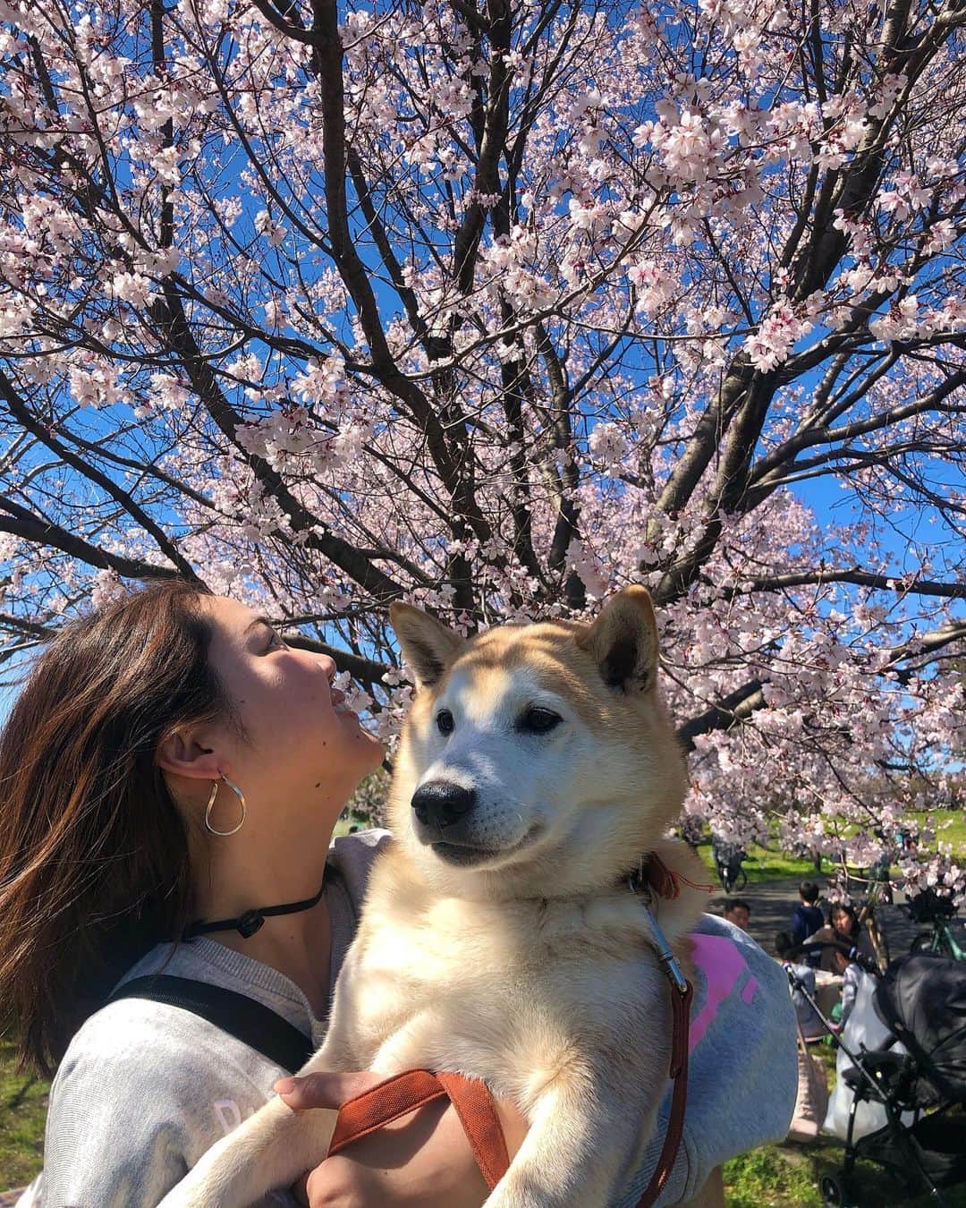 南武果歩のインスタグラム：「新年度も宜しくお願いしま〜す♫  #桜」