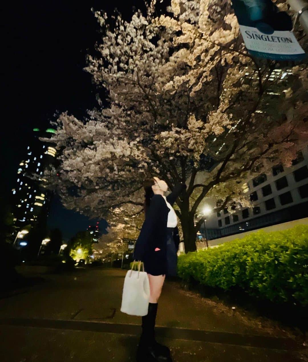 関根理紗さんのインスタグラム写真 - (関根理紗Instagram)「桜が散りそうということで最近はお散歩してました🌸  マヨさんとこでパフェとショートケーキ食べ、その日お店にいた方から🍓のお裾分けしてもらい  帰りは六本木の桜みた！  来月からマンゴーみたいだから楽しみだわ〜🥭」4月3日 10時13分 - sekine.risa