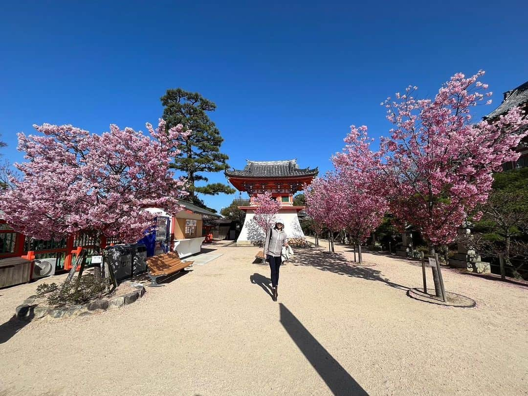 桜井未来さんのインスタグラム写真 - (桜井未来Instagram)「年々自然が好きになる...🌸🍃 普段の生活がバタバタな事もあって、少しののんびりした時間がとっても幸せで贅沢に感じます...🥺💓  地方出張とか増えたらいいなー🥺（笑）  #モデル #撮影 #撮影モデル #フリーランスモデル #フリーランスモデル東京 #フリーモデル #フリーモデル東京 #撮影依頼受付中 #撮影依頼募集中 #モデル募集 #ママモデル #ママモデル募集 #ママモデル募集中 #フリーモデル #フリーモデル東京 #被写体 #被写体になります #被写体モデル #被写体希望 #被写体女子 #被写体募集」4月3日 10時30分 - miki.sakurai0214