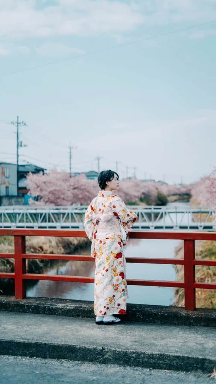 haru wagnusのインスタグラム：「Momo iro toiki   桜の季節ももうすぐ終わり。 皆さんはもう桜は撮り終えましたか？  ㅤㅤㅤㅤㅤㅤㅤㅤㅤㅤㅤㅤㅤ ㅤㅤㅤㅤㅤㅤㅤㅤㅤㅤㅤㅤㅤ ㅤㅤㅤㅤㅤㅤㅤㅤㅤㅤㅤㅤㅤ ㅤㅤㅤㅤㅤㅤㅤㅤㅤㅤㅤㅤㅤ #桜 #着物 #リール #桜2023 #着物リール #japanesegirl #着物コーデ #桜の季節 #着物女子 #リール動画 #桜満開 #着物でお出かけ #リールで繋がろう #桜の写真 #着物好きな人と繋がりたい #japanlife #桜巡り #着物カメラ部 #リールチャレンジ #桜ライトアップ #着物美人 #リール作ってみた #桜スポット #着物デート #リールで伝えたいこと #桜餅 #着物モデル #リールで自己紹介 #桜吹雪 #着物姿」