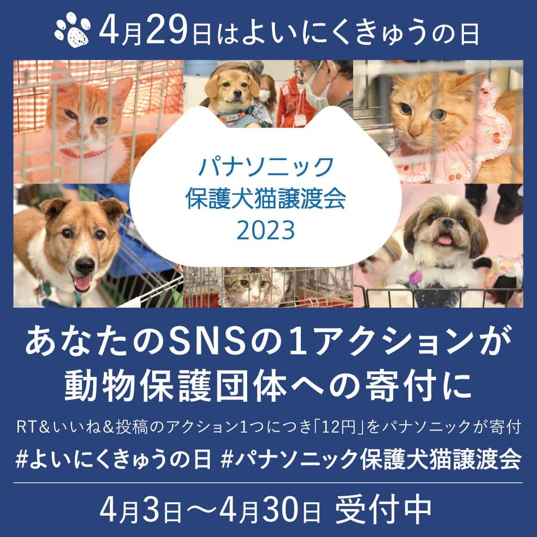 Panasonic ふだんプレミアムのインスタグラム：「@panasonicjp←他の投稿はこちら ／ 4/29は #よいにくきゅうの日 チャリティーキャンペーンを実施中🐾 ＼  4/29は初めて「パナソニック保護犬猫譲渡会」 を開催した日です👏  それを記念して4/29をパナソニックとsippoが #よいにくきゅうの日 と制定しました🐾  すべての🐶🐱に幸せになってもらいたいという想いを込めて、制定記念SNSチャリティキャンペーンを本日より開始！  🎉参加方法は２通り🎉  ❤️愛犬、愛猫の幸せな瞬間を撮影して #パナソニック保護犬猫譲渡会 #よいにくきゅうの日 の両方を付けて投稿👏 ❤️タグ付きの投稿に”いいね”をして完了！  みなさまのご参加をお待ちしています♪」